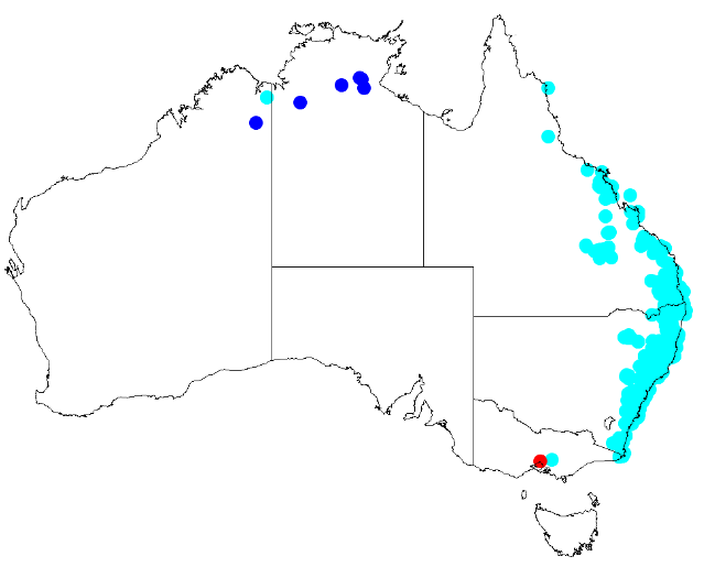 File:Ficus coronata distribution.png