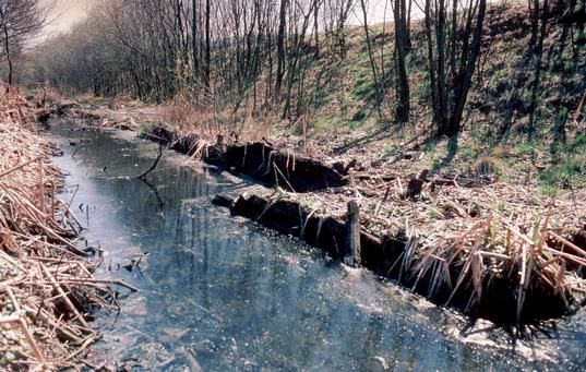 File:Fletchers Canal ruined boat.jpg