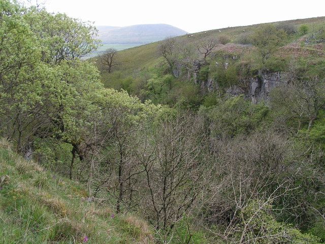 File:Ling Gill - geograph.org.uk - 46655.jpg