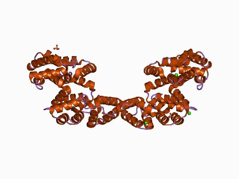 File:PDB 1avh EBI.jpg