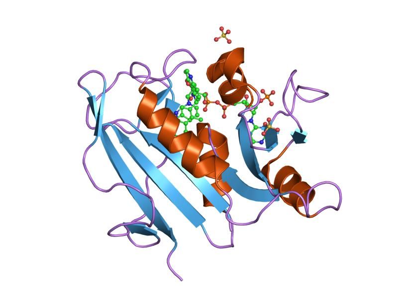 File:PDB 1kms EBI.jpg