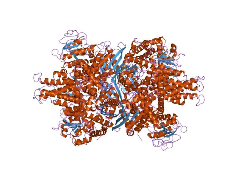 File:PDB 1nr1 EBI.jpg