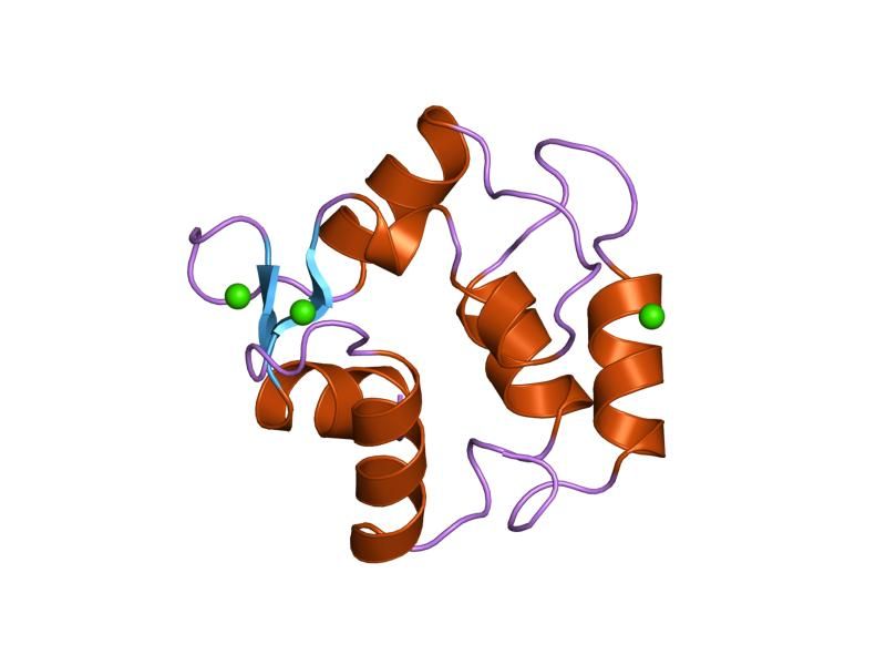 File:PDB 1omd EBI.jpg