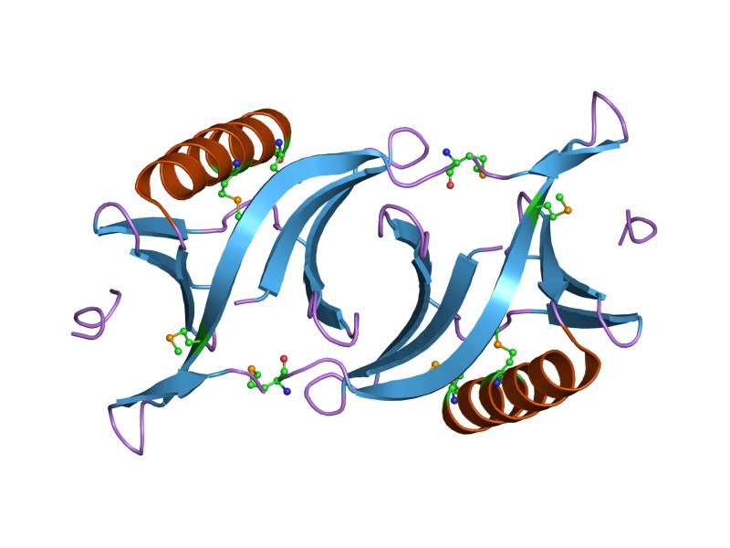 File:PDB 1qc6 EBI.jpg