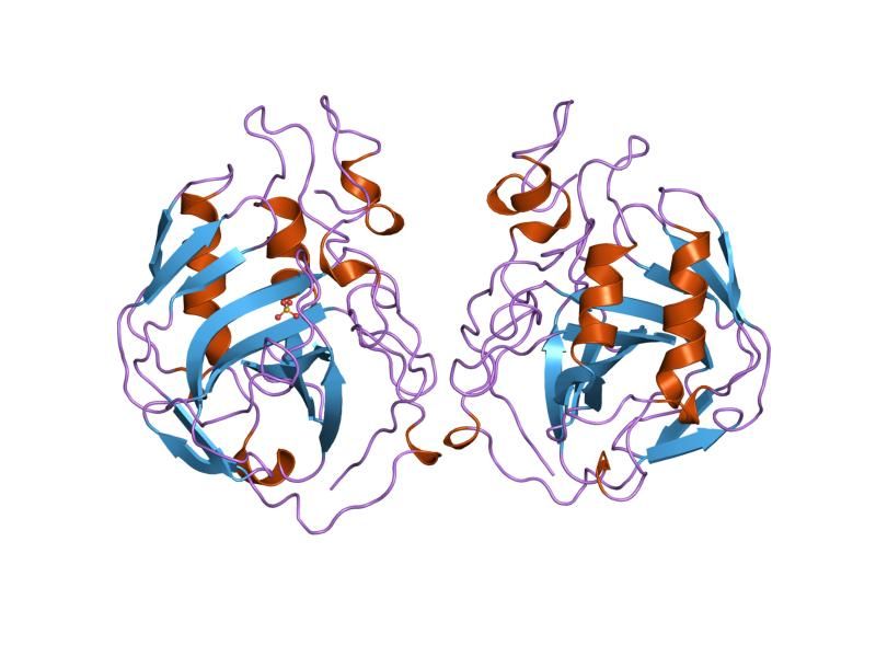 File:PDB 1znc EBI.jpg