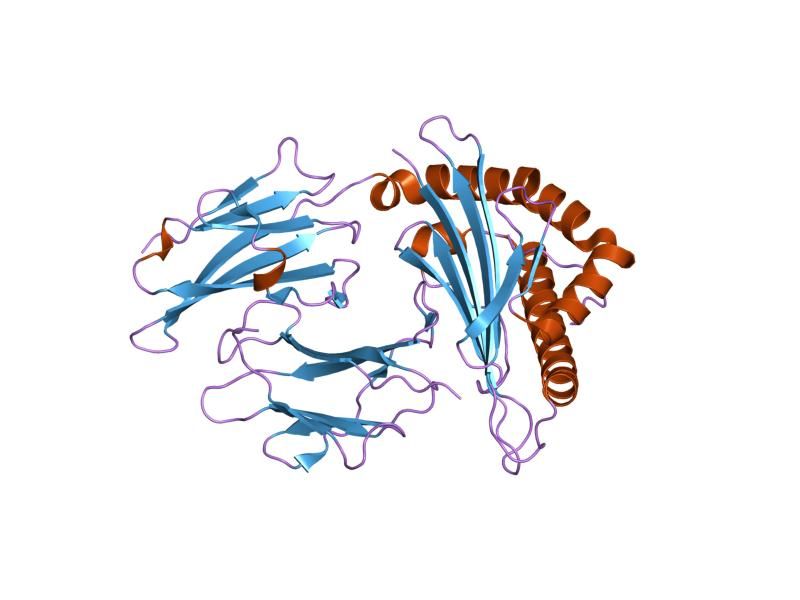 File:PDB 2bss EBI.jpg