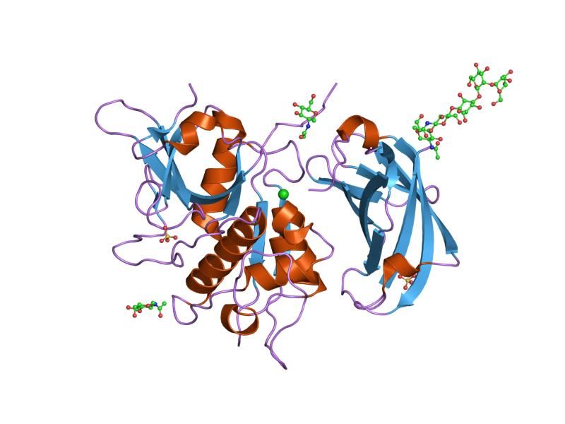 File:PDB 2djg EBI.jpg