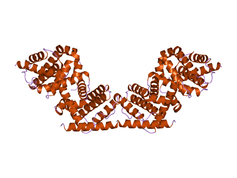 File:PDB 2p1l EBI.png