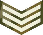 File:Sajenti (Tanzania Army OR-06).png