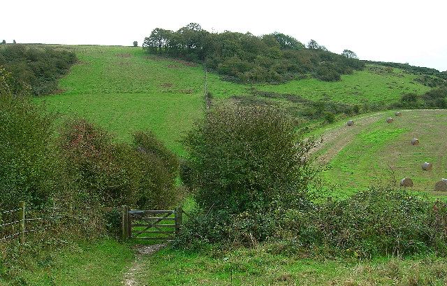 File:Waterpit Hill - geograph.org.uk - 71576.jpg