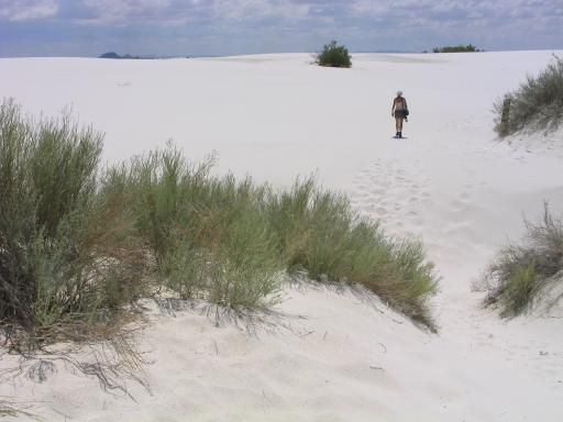 File:White Sands NM Big Dune Trail.jpg