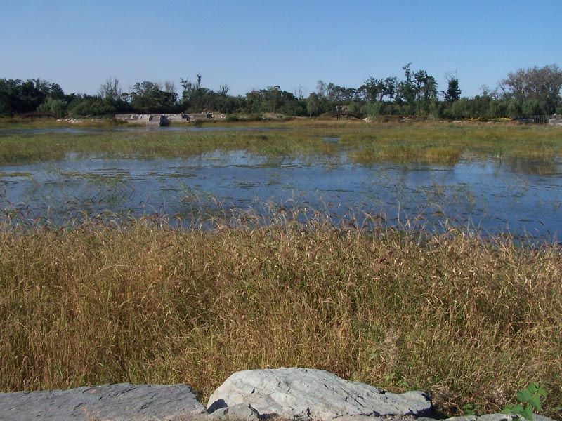 File:Yuanmingyuan lake1.jpg