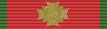 File:BRA Cruz de Combate - 1a classe.png