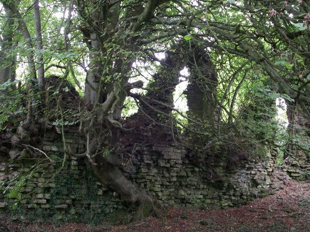 File:Cas Troggy - geograph.org.uk - 570336.jpg