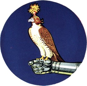 File:Fighter Squadron 142 (US Navy) insignia c1955.png