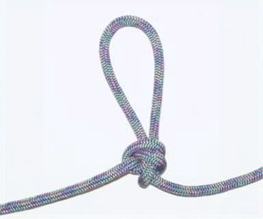 File:Knot-AlpineButterfly.jpg