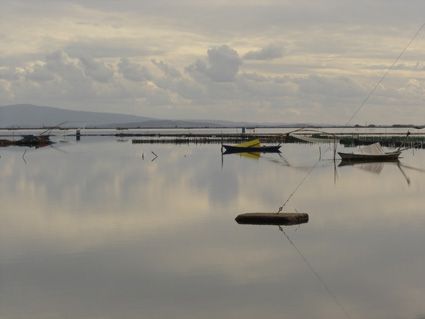 File:Messolonghi lagoon.jpg