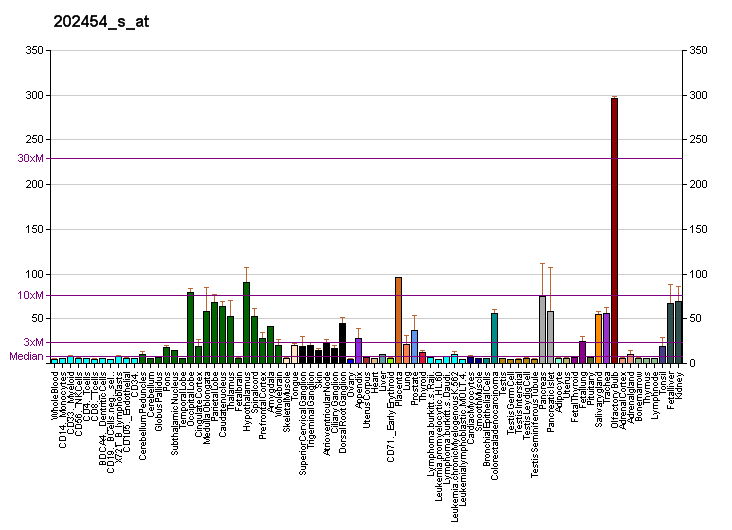 File:PBB GE ERBB3 202454 s at fs.png