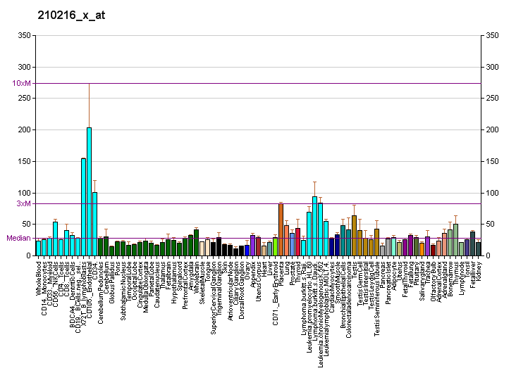 File:PBB GE RAD1 210216 x at fs.png