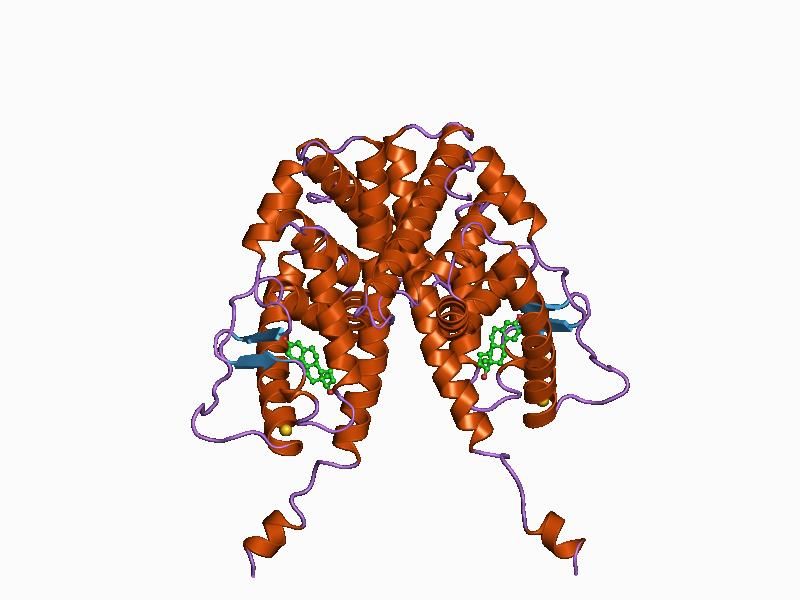 File:PDB 1a52 EBI.jpg