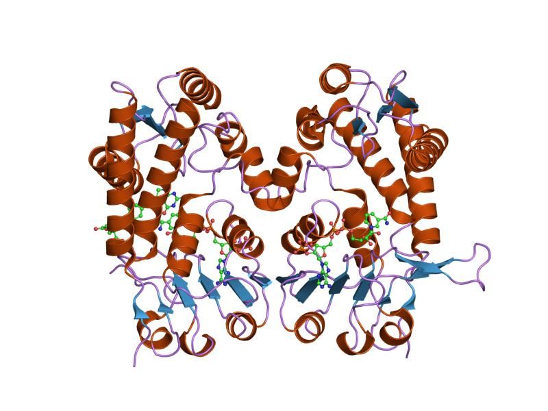 File:PDB 1dia EBI.jpg