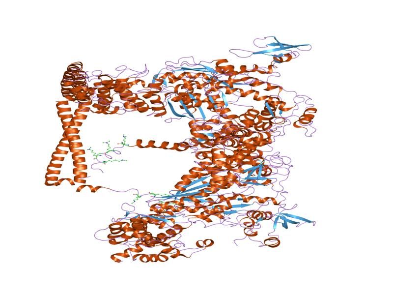 File:PDB 1i84 EBI.jpg