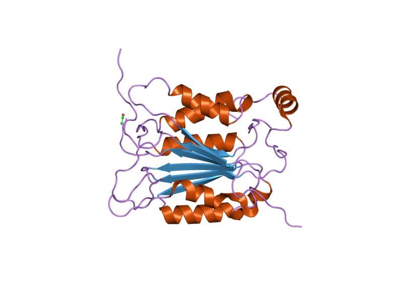 File:PDB 1ice EBI.jpg