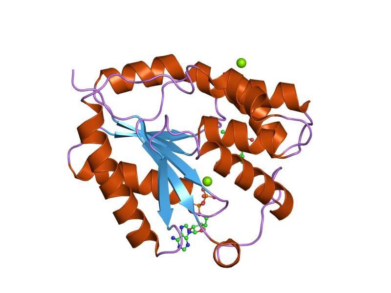 File:PDB 1nmx EBI.jpg