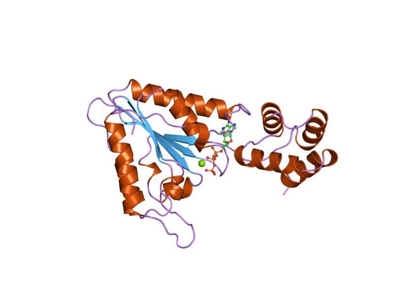 File:PDB 1nsf EBI.jpg