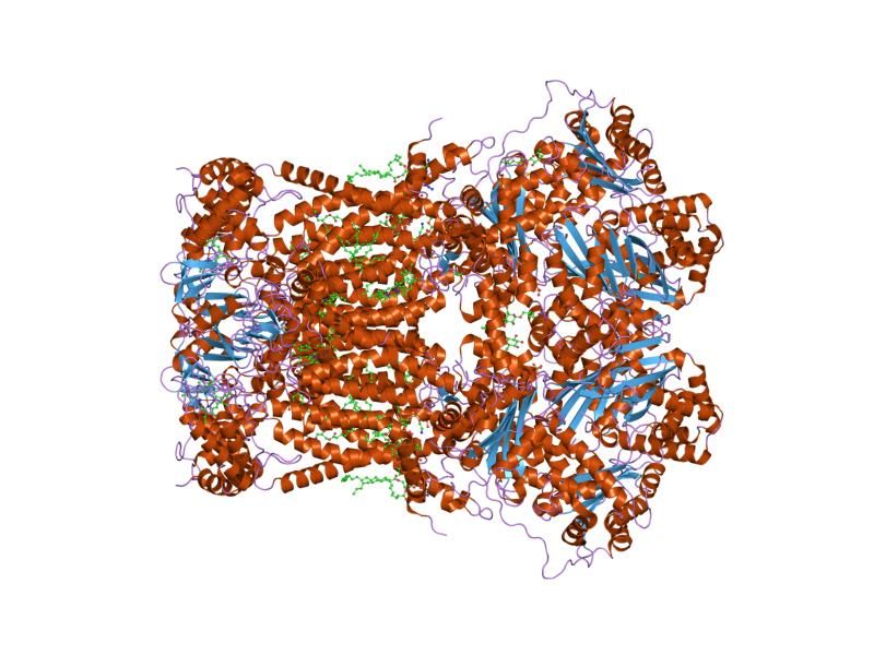 File:PDB 1pp9 EBI.jpg