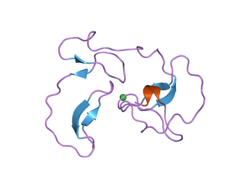 File:PDB 1skz EBI.jpg