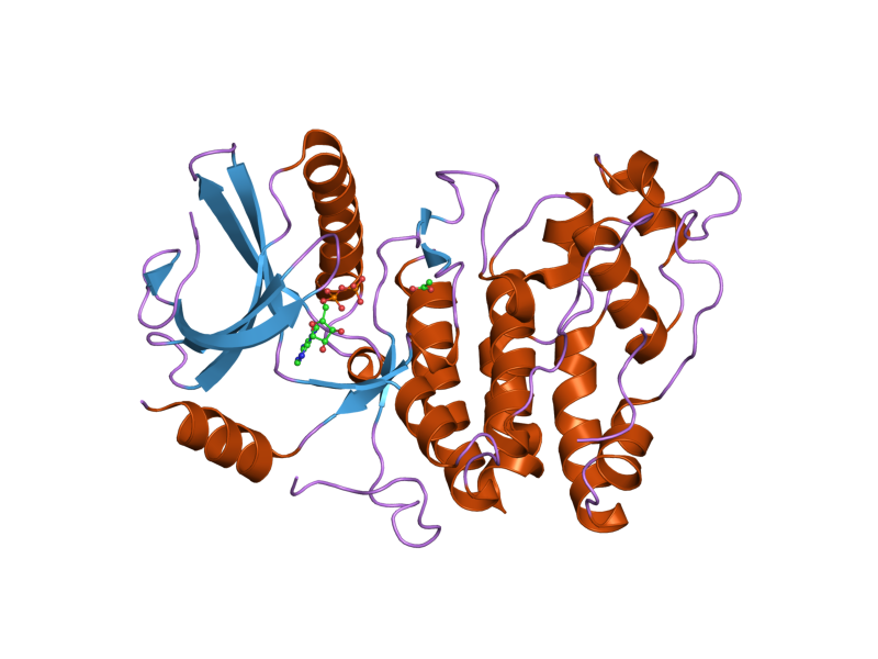 File:PDB 1wbp EBI.png