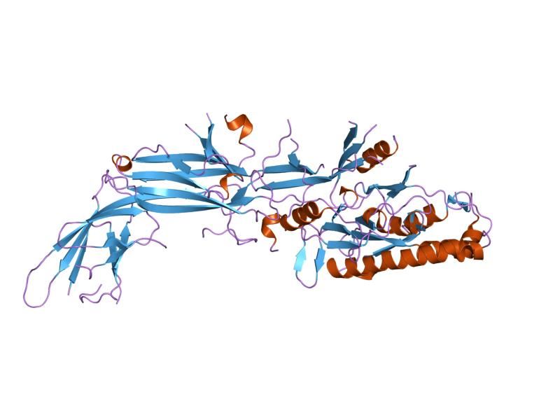 File:PDB 1wd8 EBI.jpg