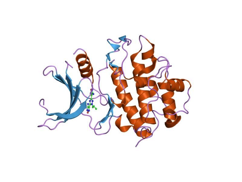 File:PDB 2cgw EBI.jpg