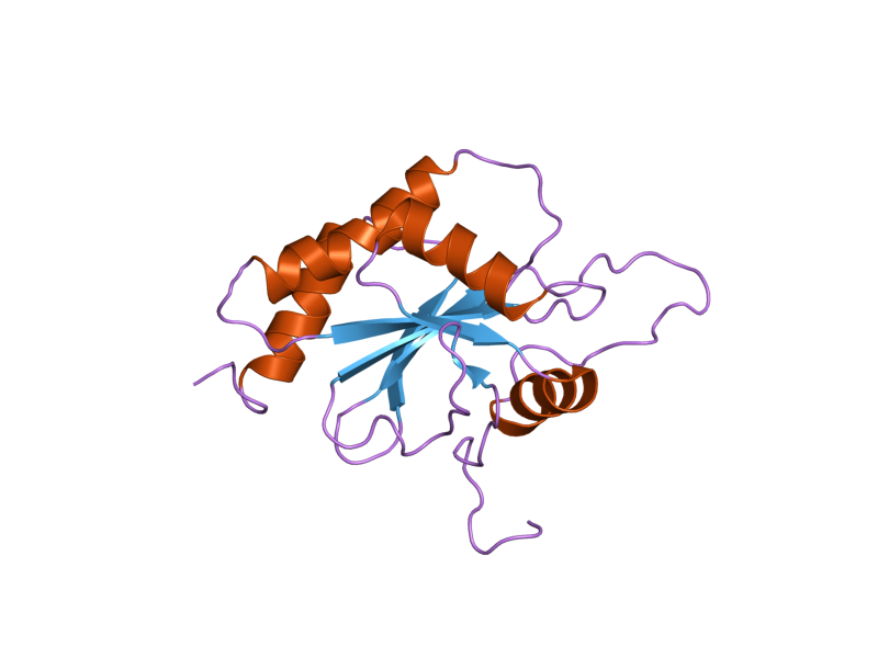 File:PDB 2gvp EBI.png