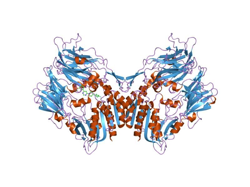 File:PDB 2oqv EBI.jpg