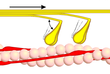 File:Querbrückenzyklus 2.png