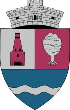 File:ROU HD Toplita CoA.jpg