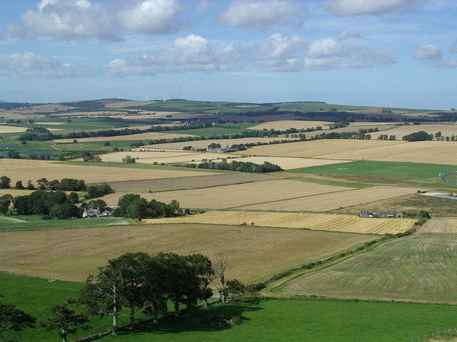 File:The Bruce Field.jpg