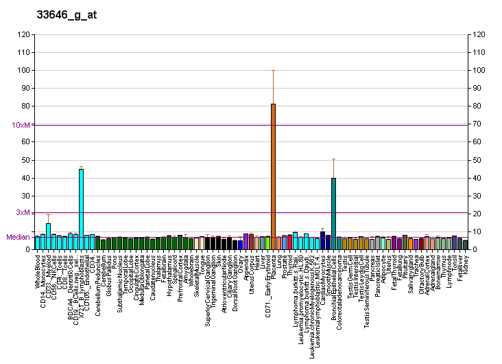 File:PBB GE GM2A 33646 g at fs.png