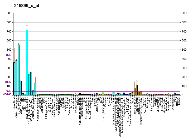 File:PBB GE SKAP2 216899 s at fs.png