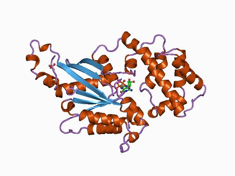 File:PDB 1as3 EBI.jpg