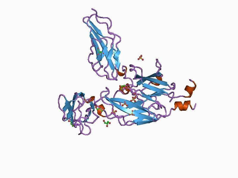 File:PDB 1bqu EBI.jpg