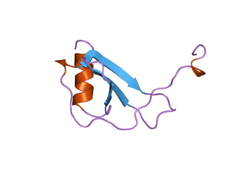 File:PDB 1dol EBI.jpg