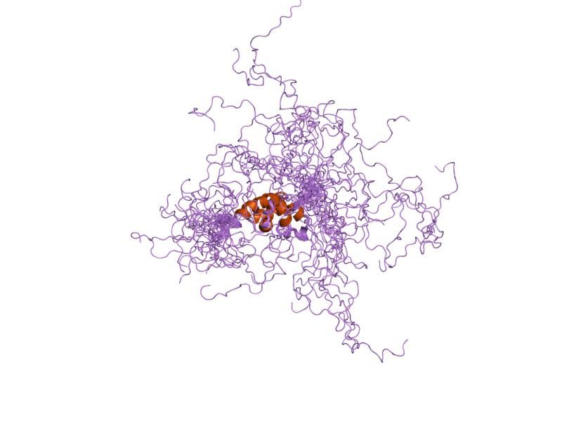 File:PDB 1g9l EBI.jpg