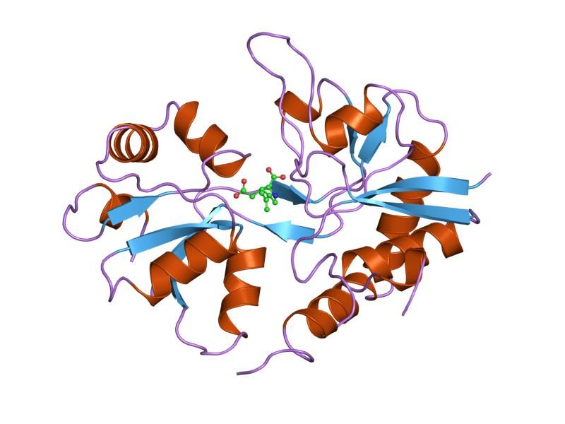 File:PDB 1gr2 EBI.jpg