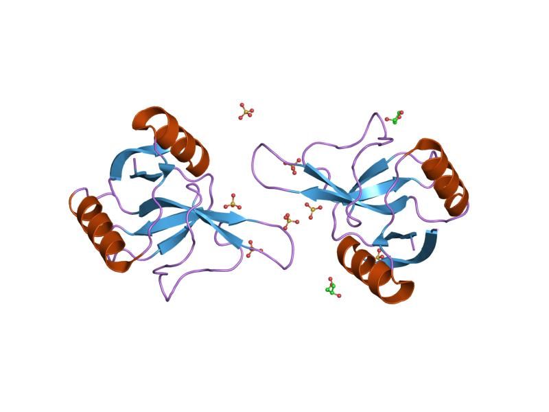 File:PDB 1h8u EBI.jpg