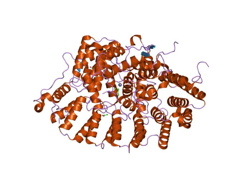 File:PDB 1jcr EBI.jpg