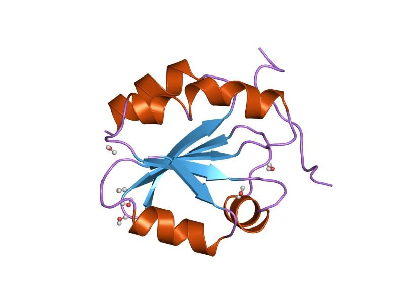 File:PDB 1mdi EBI.jpg