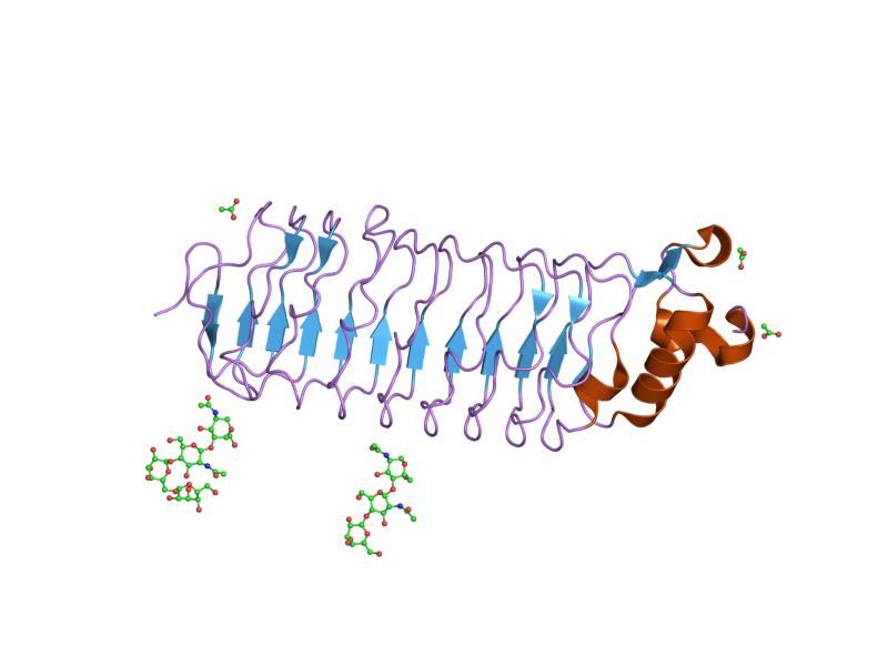 File:PDB 1ozn EBI.jpg